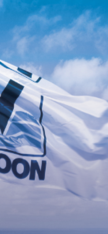 Vroon Flag